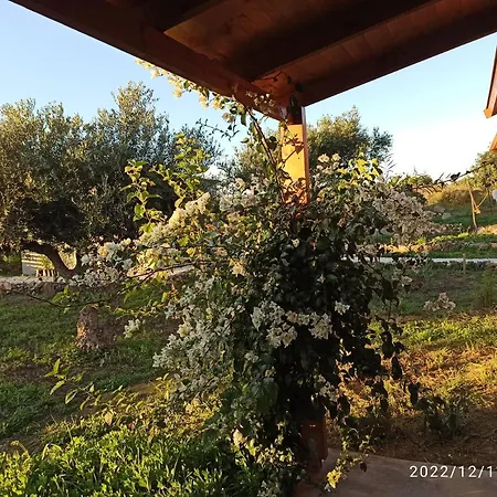 Oikos Wooden Retreat Holiday home
